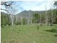 Garrabaldi, Yarrowitch NSW 2354