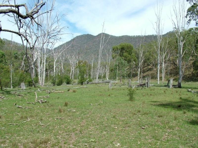 Garrabaldi, Yarrowitch NSW 2354