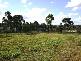 URALLA ROAD, Armidale NSW 2350