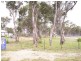Lot 1115,  MYRTLE DRIVE, Armidale NSW 2350
