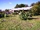 21 WALLINGA ROAD, Armidale NSW 2350