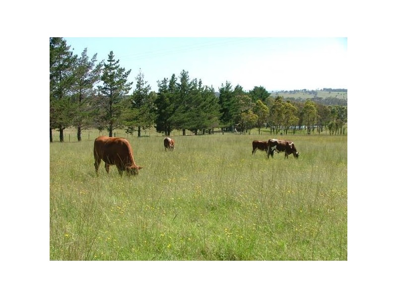 Castledoyle Road, Armidale NSW 2350