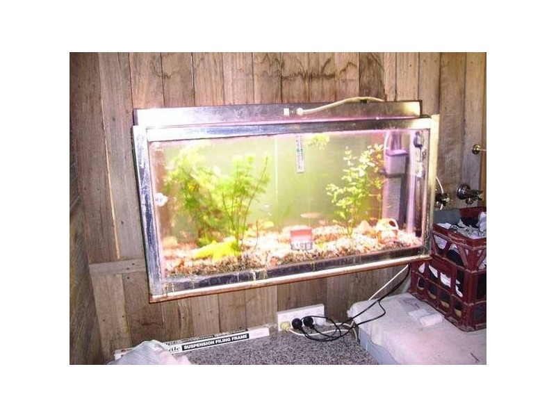 Adina Road, Invergowrie NSW 2350