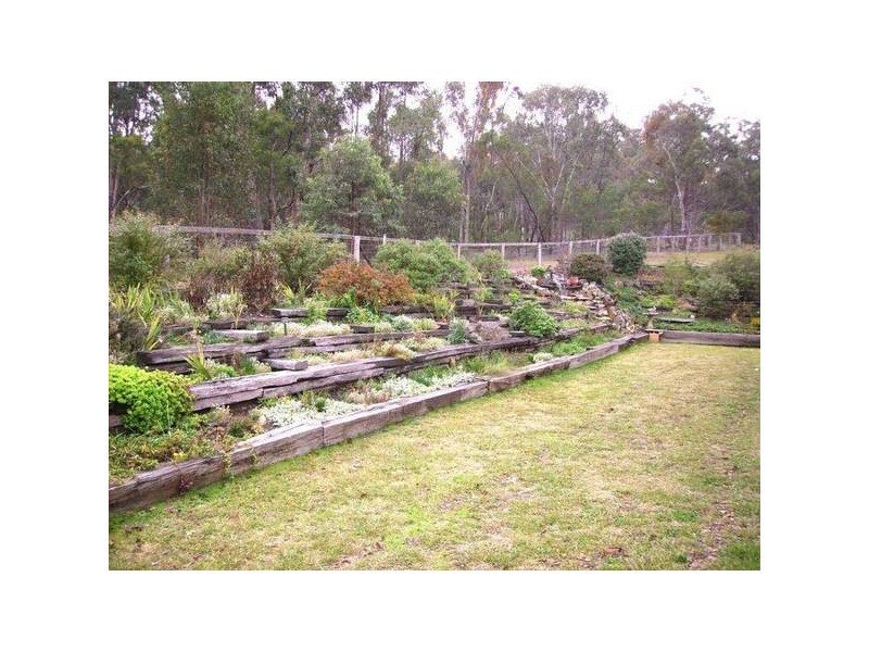 Adina Road, Invergowrie NSW 2350
