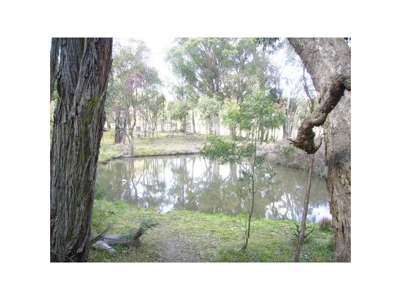 9 Adina Road, Invergowrie NSW 2350