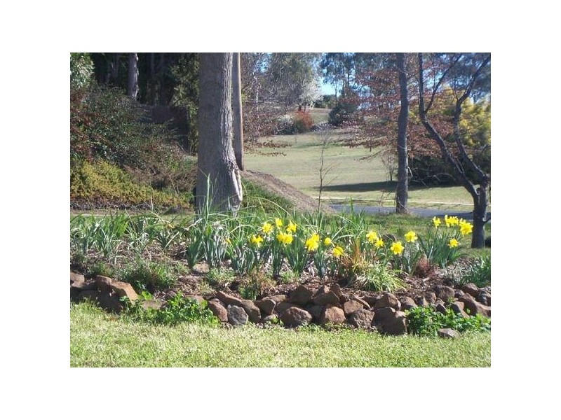 Armidale NSW 2350