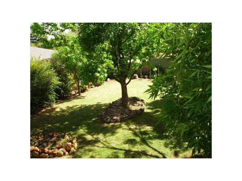 1 Lynches Road, Armidale NSW 2350