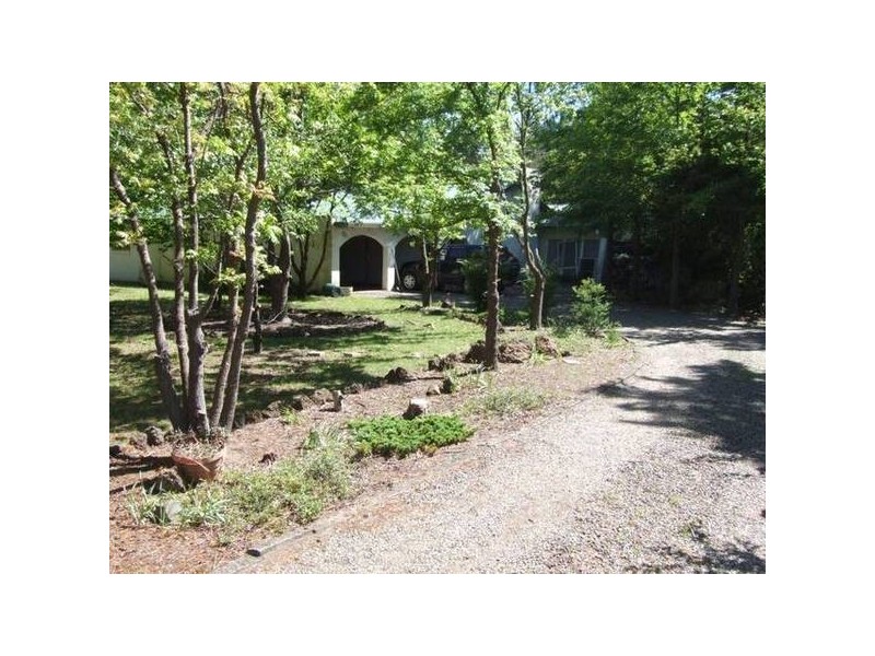 20 Pine Avenue, Saumarez NSW 2350