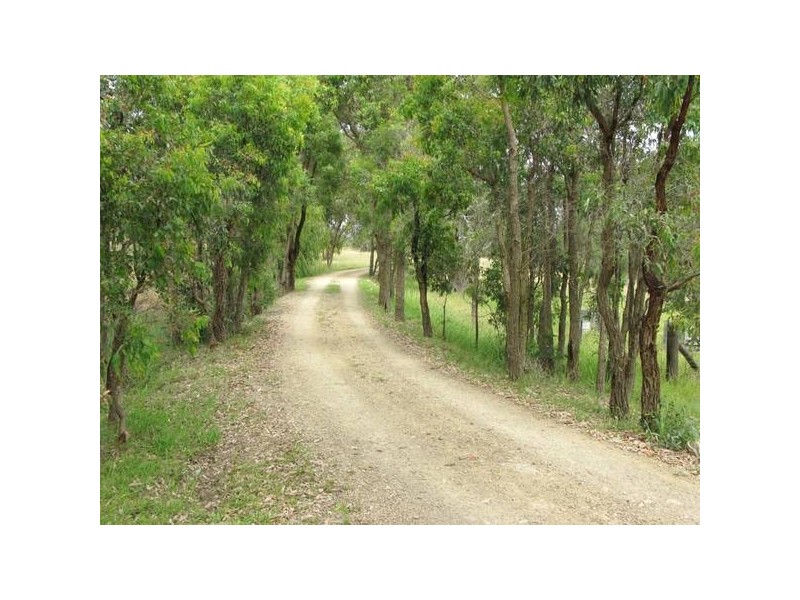 93 Invergowrie Road, Invergowrie NSW 2350
