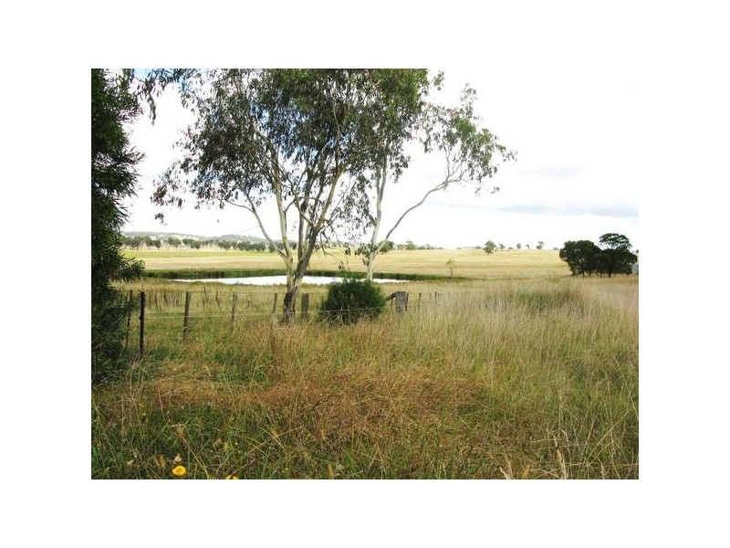 3132 Ebor Road, Guyra NSW 2365