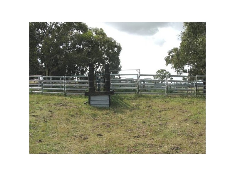 3132 Ebor Road, Guyra NSW 2365