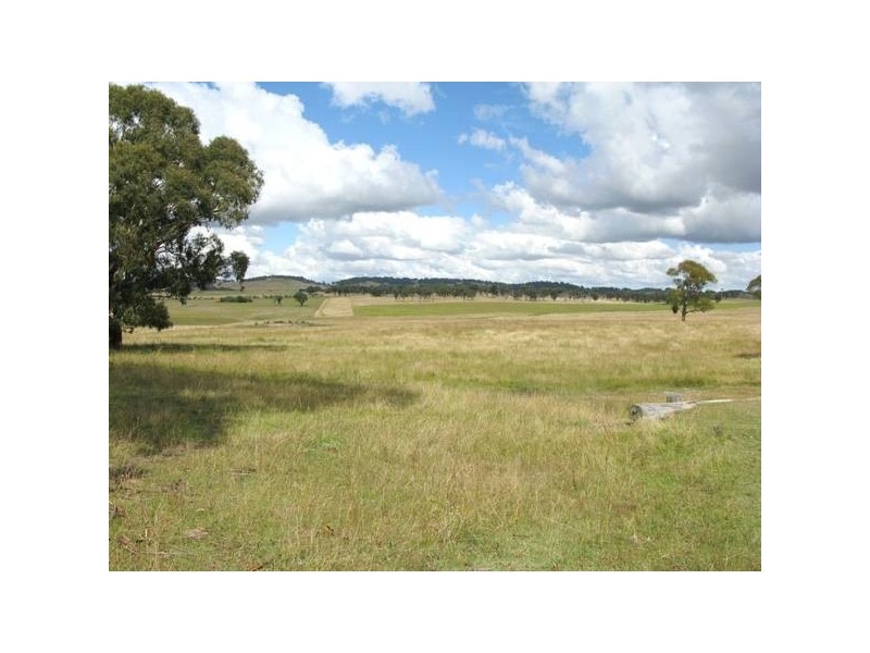 3132 Ebor Road, Guyra NSW 2365