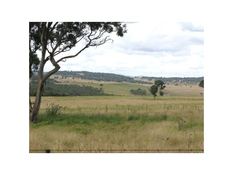 3132 Ebor Road, Guyra NSW 2365
