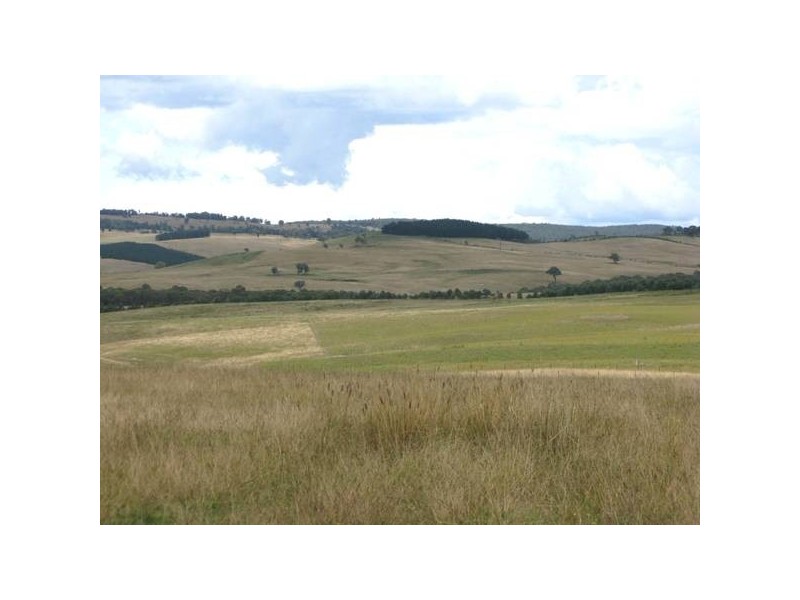 3132 Ebor Road, Guyra NSW 2365