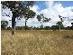 Taylor Road, Guyra NSW 2365