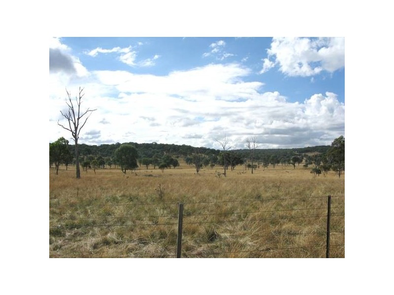 Taylor Road, Guyra NSW 2365