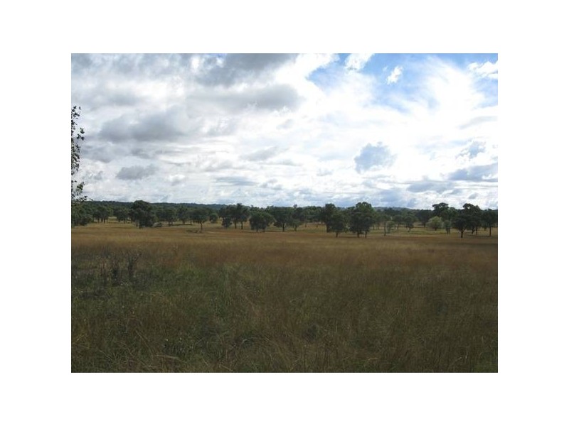 Taylor Road, Guyra NSW 2365