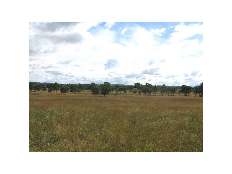 Taylor Road, Guyra NSW 2365
