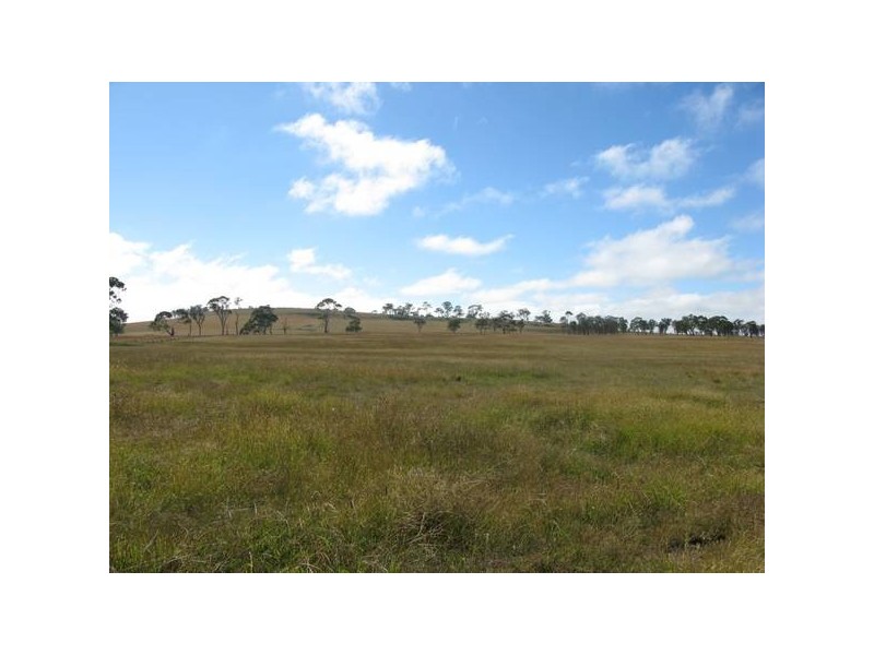 135 Black Lane, Armidale NSW 2350