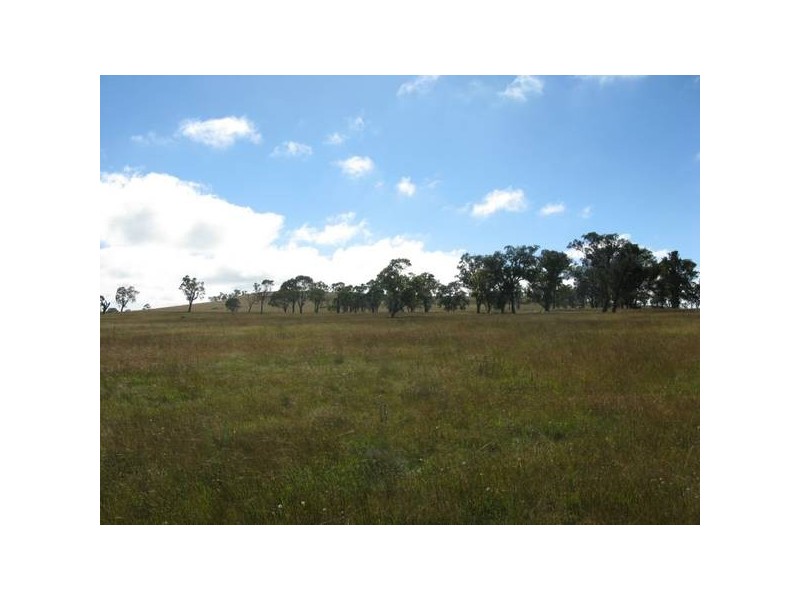 135 Black Lane, Armidale NSW 2350