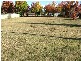 Armidale NSW 2350