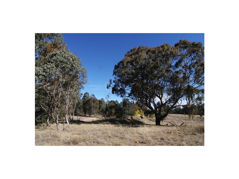 84 Kendall Road, Invergowrie NSW 2350