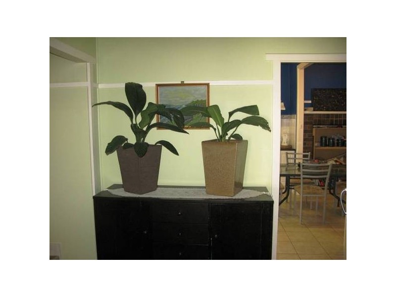 140 JESSIE STREET, Armidale NSW 2350