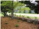 Armidale NSW 2350