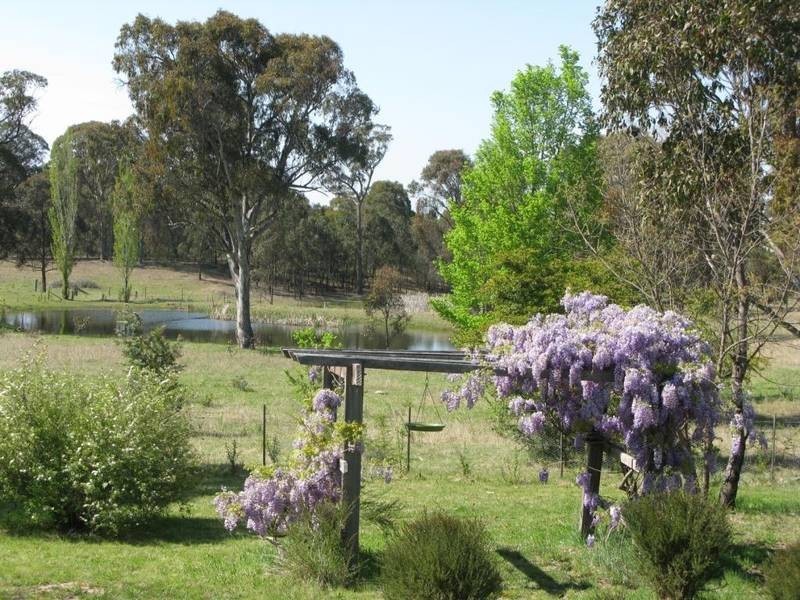 Armidale NSW 2350