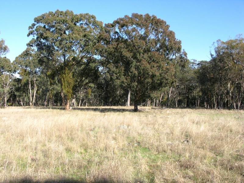 Lot 30,  Kareela Road, Invergowrie NSW 2350