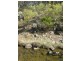 Lot 30.,  Kareela Road, Invergowrie NSW 2350