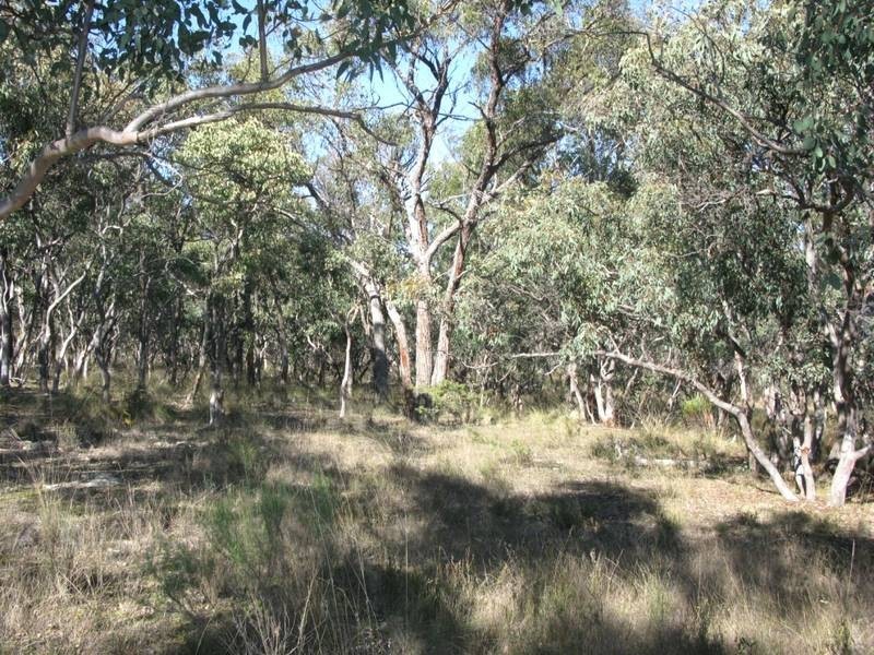 Lot 30.,  Kareela Road, Invergowrie NSW 2350