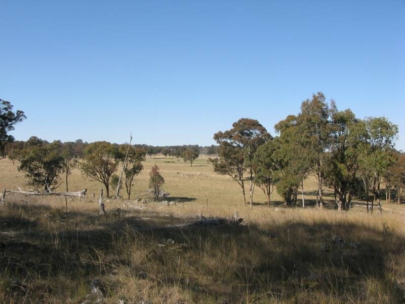 Lot 31 .,  Kareela Road, Armidale NSW 2350