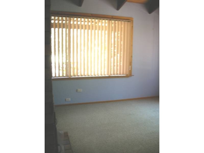 1335 Bundarra Road, Invergowrie NSW 2350