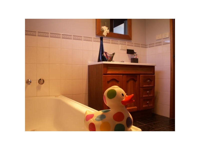 10 Donegal Terrace, Armidale NSW 2350