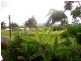 50 Jodrell Street, Innisfail QLD 4860