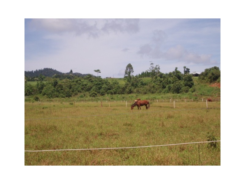 4 Moyle Road, Garradunga QLD 4860