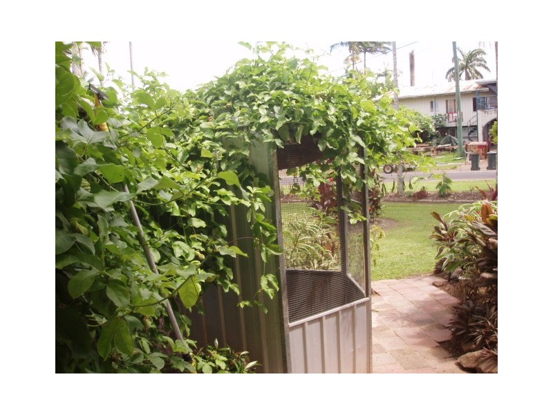 42 Jodrell, Innisfail QLD 4860