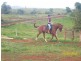 Innisfail QLD 4860