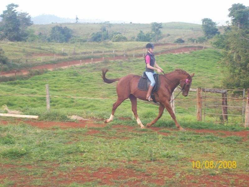 Innisfail QLD 4860