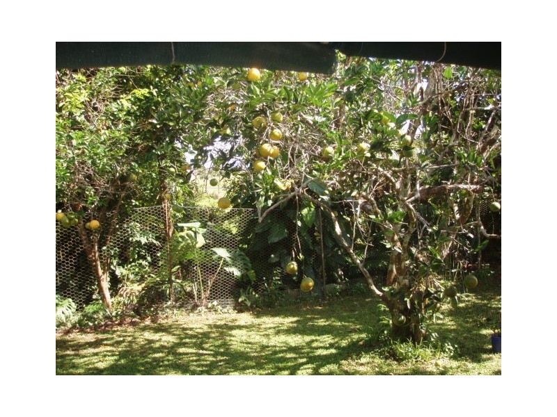 Innisfail QLD 4860