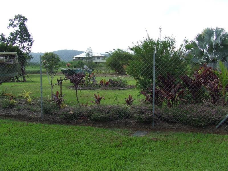 42 Jodrell St, Innisfail QLD 4860