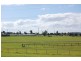 12 Ash, Innisfail QLD 4860