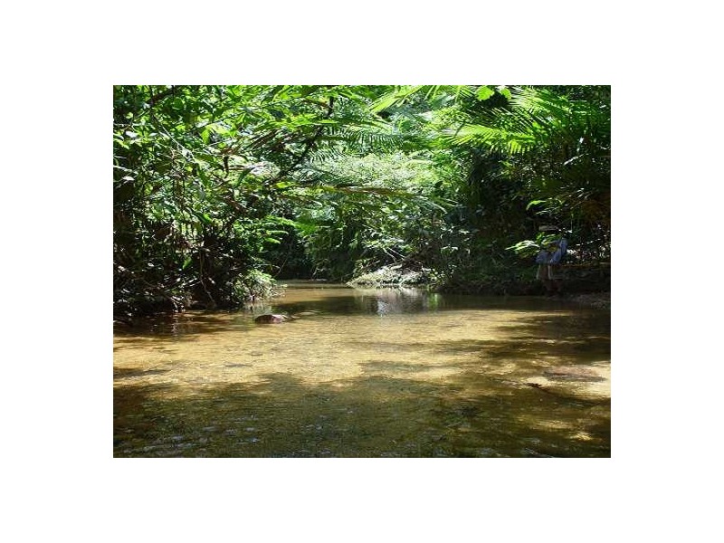 Woopen Creek Road, Woopen Creek QLD 4871