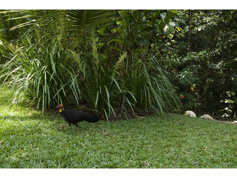 Woopen Creek Road, Woopen Creek QLD 4871