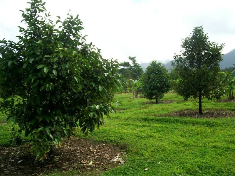 Lot 2,  Boulders Rd, Cairns QLD 4870