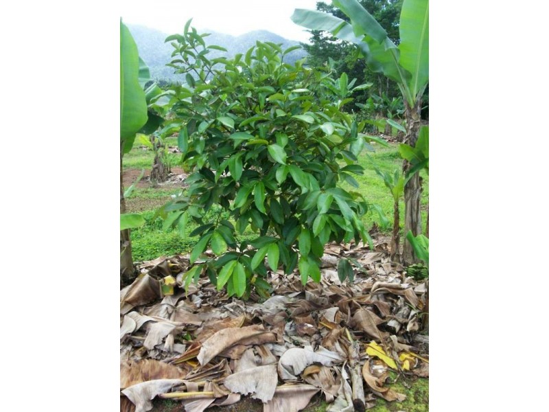 Lot 2,  Boulders Rd, Cairns QLD 4870