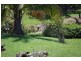 Cairns QLD 4870