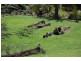 Cairns QLD 4870