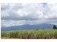 Lot 7,  Silkwood – Japoon Rd., Innisfail QLD 4860